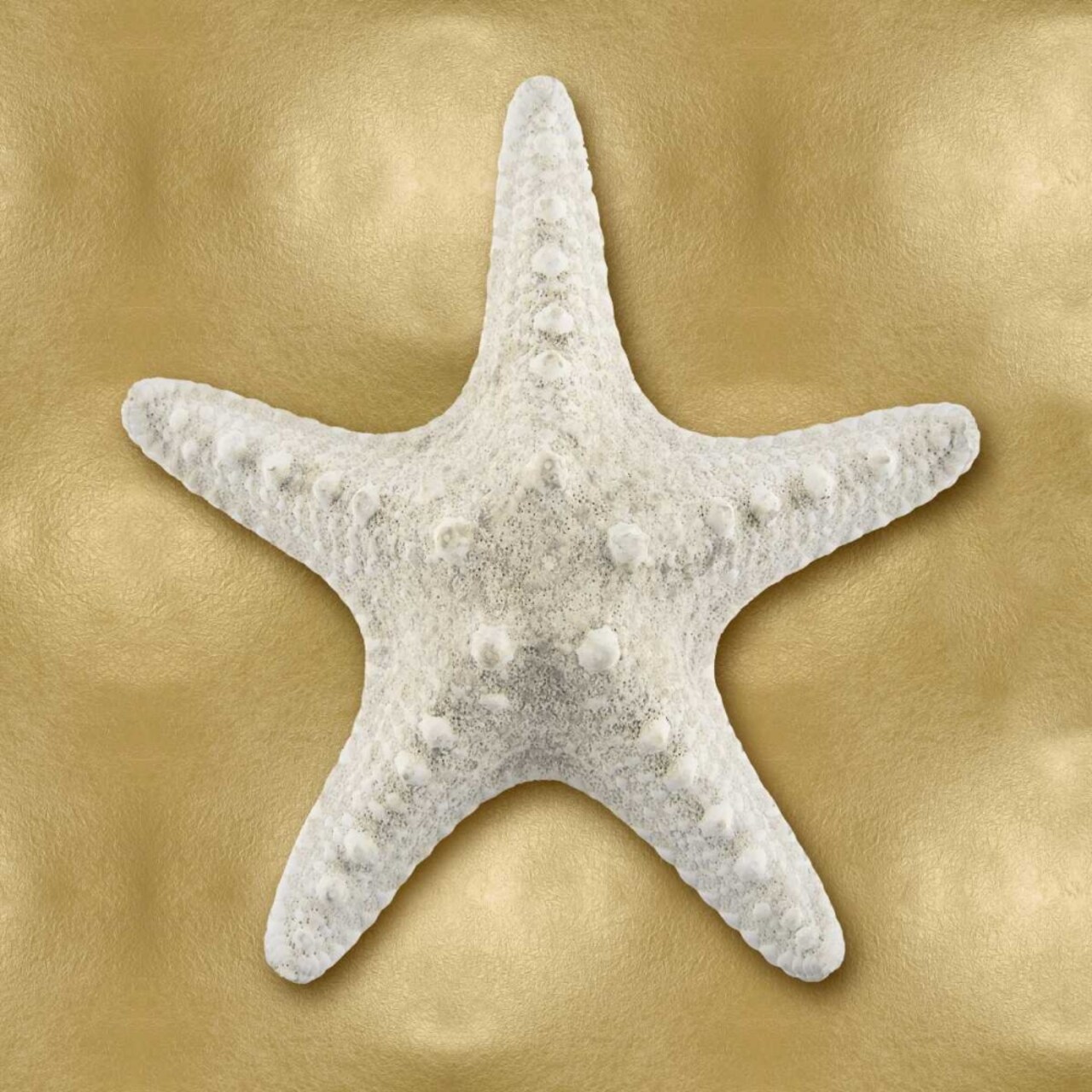 Ocean Gem on Gold VI Poster Print by Caroline Kelly # CKL114070